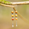 Wood Jasper Earrings in Stainless Steel